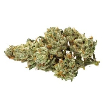 Candy Rain (Plaid Trout) – Half (14g)