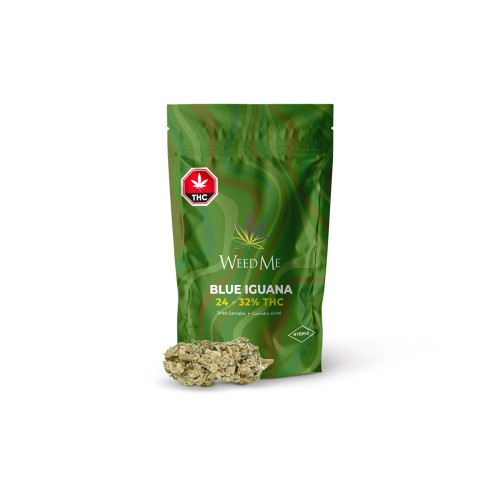 Blue Iguana (WeedMe) – Ounce (28g)