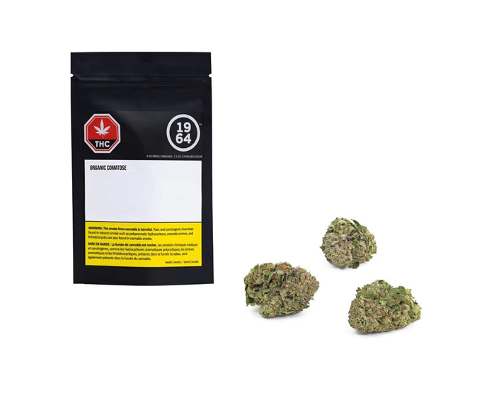 Comatose (1964 Organic) – Gram (1g)