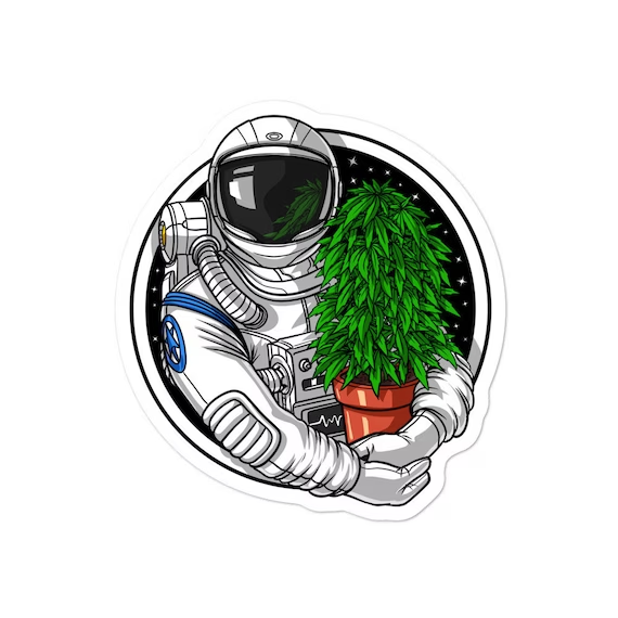 Weekender Blended (20 Pack) Rotating Strain (Astronaut Cannabis)(PR) – 20 x (0.5g)