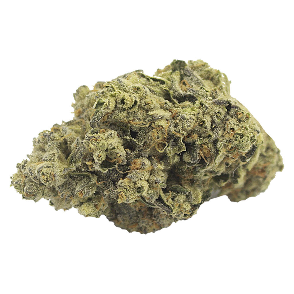 Thicc Mintz (Terp Town Collective) – Eighth (3.5g)