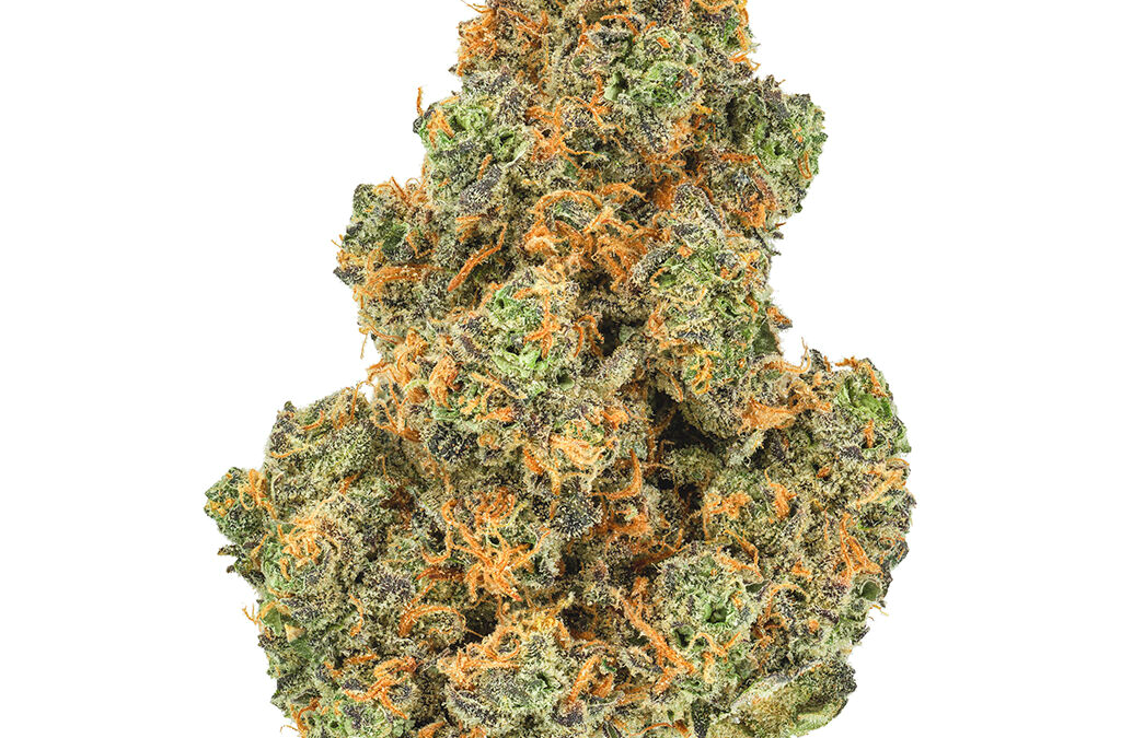 Pink Diesel (San Rafael)(PR) – 3 x (0.5g)