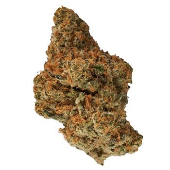 Headbanger (Canaca) – Quarter (7g)