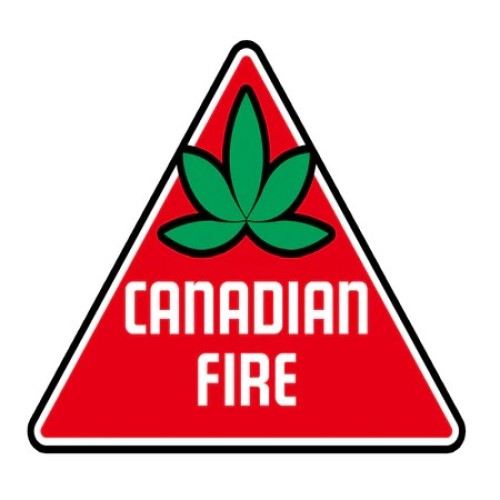 Flanderino Blunt (Canadian Fire)(PR) – 1 x (1g)