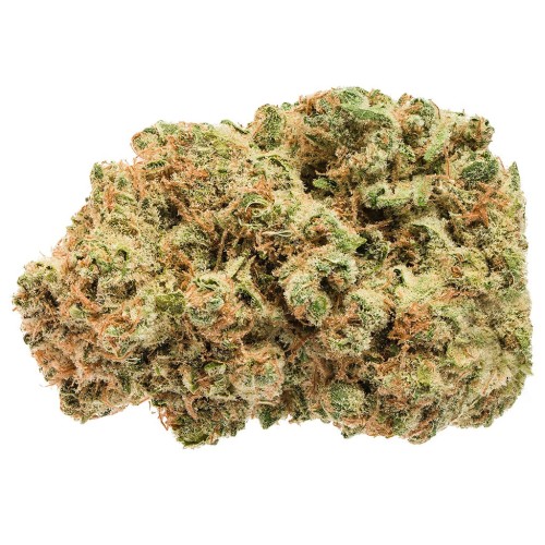 Cherry Bomb (Jonny Chronic) – Eighth (3.5g)