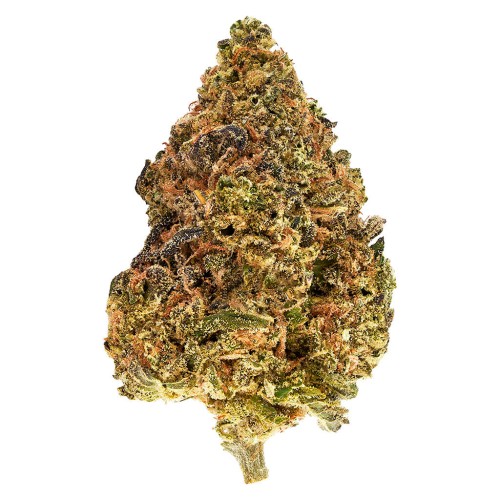 Sativa (Twd.) – Ounce (28g)