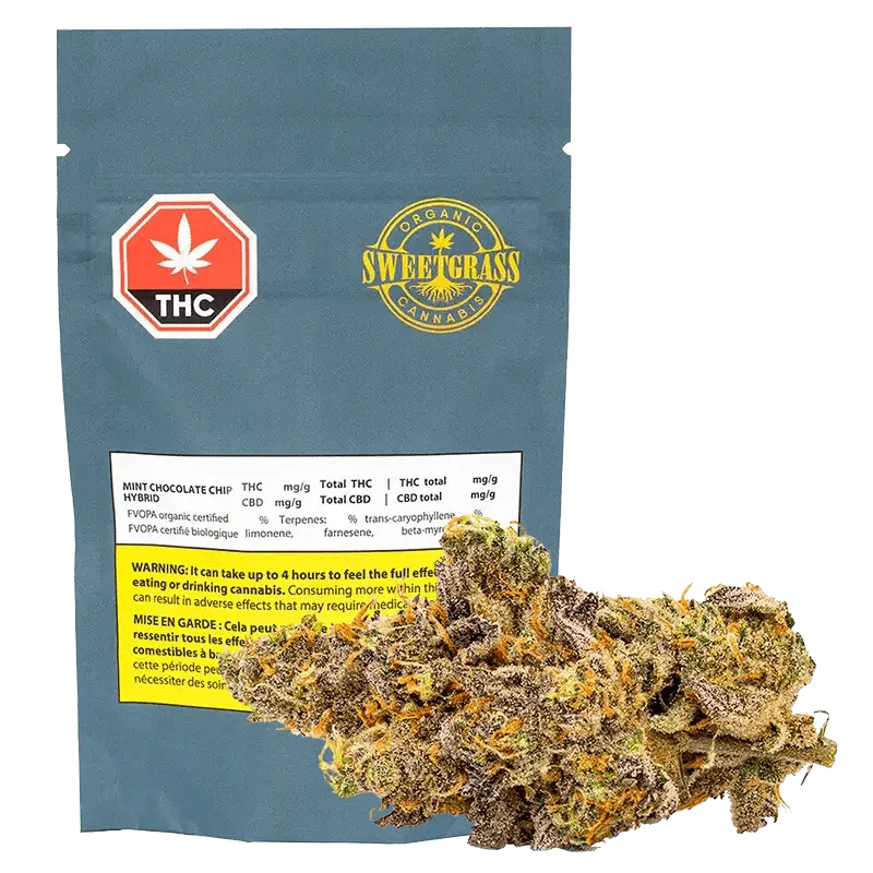 Mint Chocolate Chip (Sweetgrass Cannabis) – Quarter (7g)