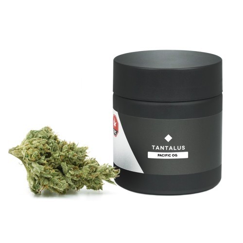 Pacific OG (Tantalus Labs) – Ounce (28g)