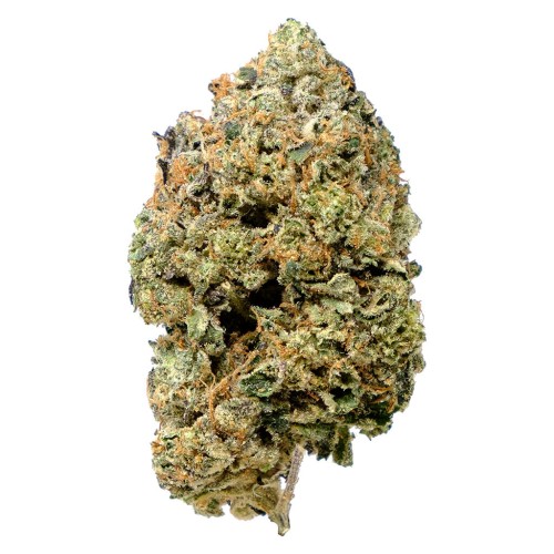 Pink Goo (Pistol & Paris) – Quarter (7g)