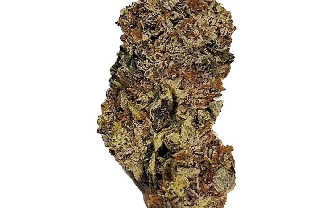 Gorilla (Gorilla Gardens) – Eighth (3.5g)