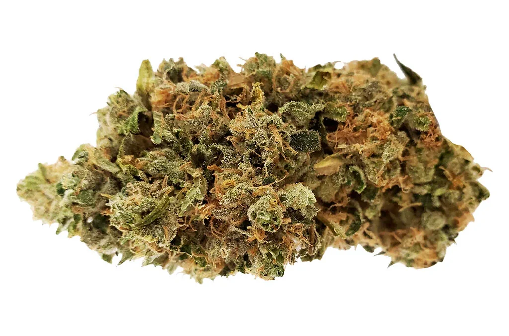 Gold Cash Gold (3RD Coast Genetics) – Quarter (7g)