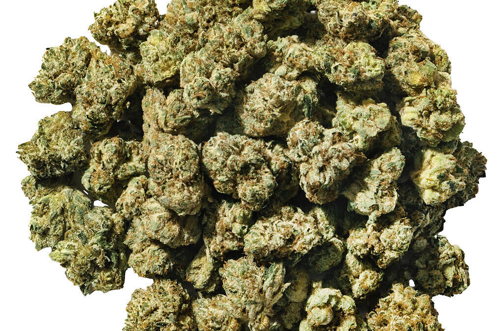 Smol Buds Indica (Super Toast) – Half (14g)