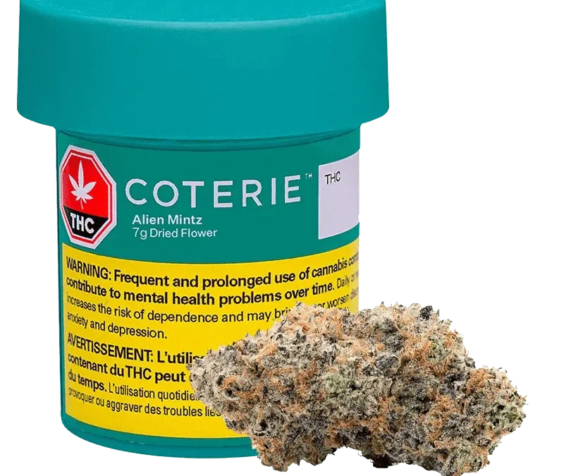 Alien Mintz (Coterie) – Quarter (7g)