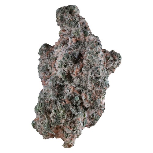 Lemon Diesel (1964) – Quarter (7g)