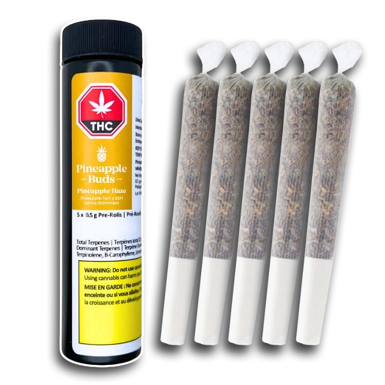 Pineapple Haze (Pineapple Buds)(PR) – 5 x (0.5g)