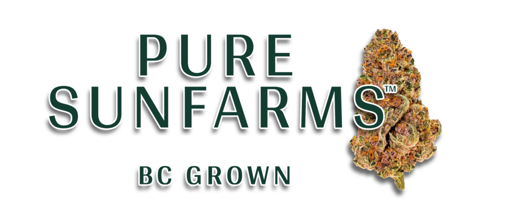 Purple Fog (Pure Sunfarms) – Quarter (7g)